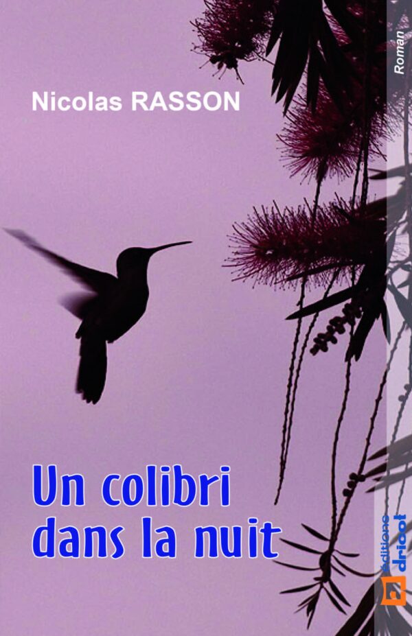 Un colibri dans la nuit